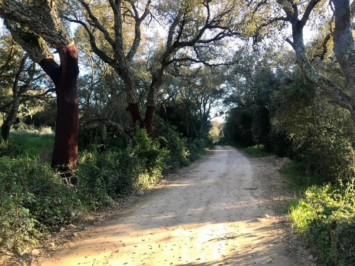 Elegant Country Open Space Deluxe Tenuta Piredu -Monti-Olbia المظهر الخارجي الصورة
