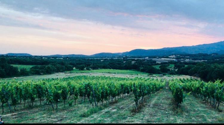 Elegant Country Open Space Deluxe Tenuta Piredu -Monti-Olbia المظهر الخارجي الصورة