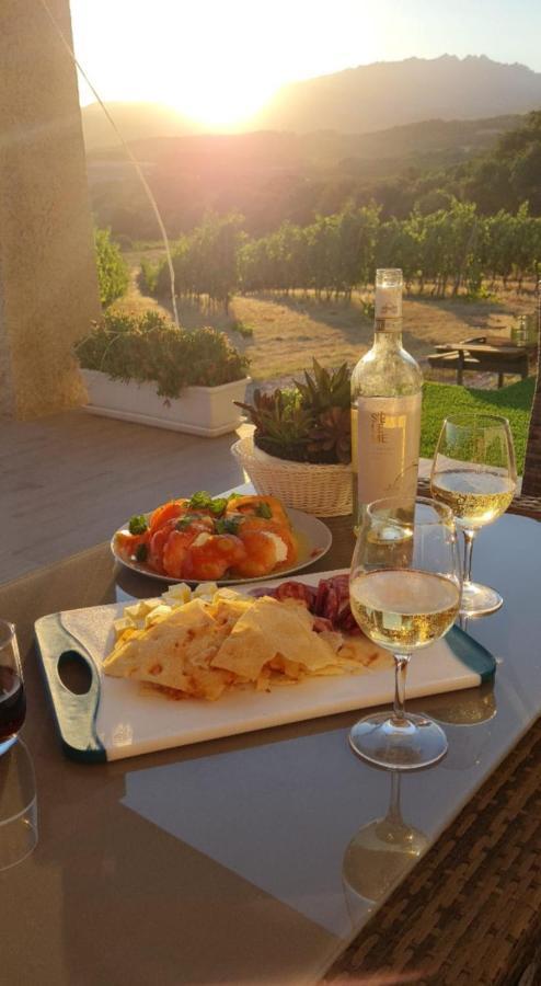 Elegant Country Open Space Deluxe Tenuta Piredu -Monti-Olbia المظهر الخارجي الصورة